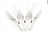 Cuesoul - Tero Flight System AK5 Rost Big Wing - White - Dart Flights