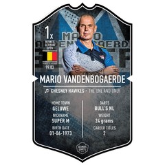 Ultimate Darts Card Mario Vandenbogaerde