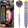 Bull's Bull's Ricky Evans 90% Dartpile