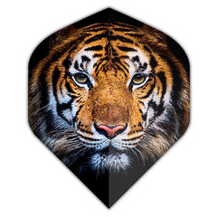 Dartshopper Tiger NO2 Flights