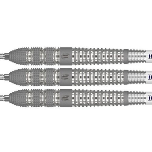 Target Target Raymond van Barneveld Barney25 Swiss Point 95% - Dartpile