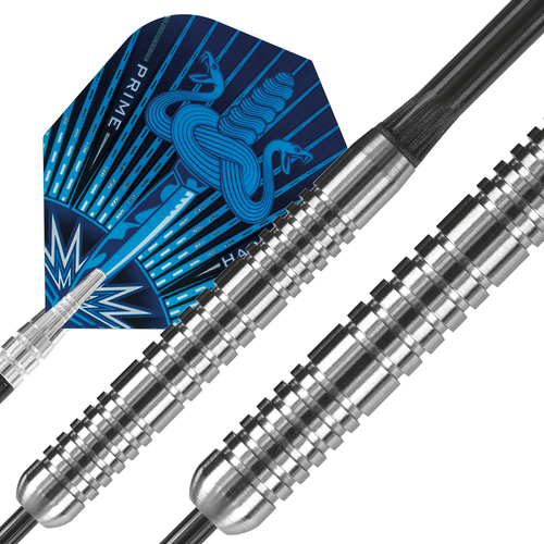 Harrows Harrows Assassin RG 80% 22 gram Dartpile