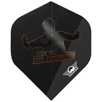 Bull's Player 100 Dirk van Duijvenbode E2 NO2 - Dart Flights