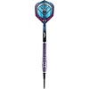 Shot Shot Viking Shield Maiden 90% Soft Tip Dartpile