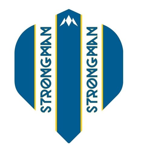 Mission Mission Dennis Nilsson NO2 - Dart Flights