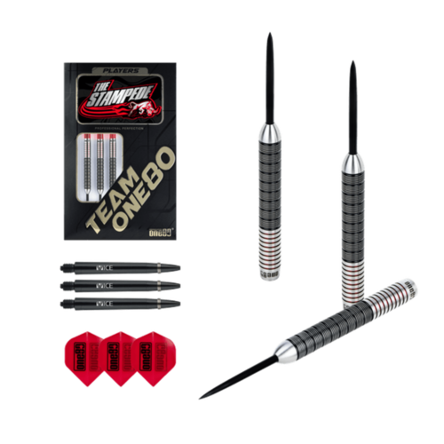 ONE80 ONE80 Akshay Mehta II 90% - Dartpile