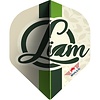 Bull's Bull's Player 100 Liam Maendl Lawrance NO2 - Dart Flights