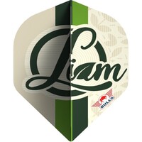 Bull's Player 100 Liam Maendl Lawrance NO2 - Dart Flights