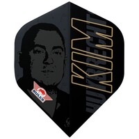 Bull's Player 100 Kim Huybrechts 80 NO2 - Dart Flights