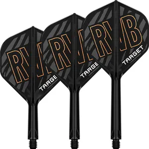 Target K-Flex Raymond van Barneveld NO2 - Dart Flights