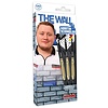 Bull's Germany BULL'S Martin Schindler Naturel Brass Soft Tip Dartpile