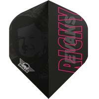 Bull's Ricky Evans 80 E2 NO2 - Dart Flights