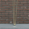 Nordstahl Set hairpin bankpoten | Goud Nordstahl Set hairpin bankpoten | Goud