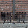 Nordstahl Set hairpin salonpoten | Zwart Nordstahl Set hairpin salonpoten | Zwart