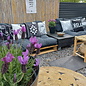 Rise & Wine - Outdoor Kussenhoes | 45x45 cm | Katoen