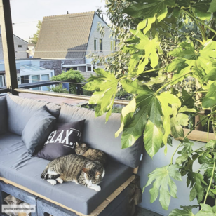Relax - Outdoor Kussenhoes | 45x45 cm | Polyester