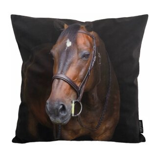 Gek op kussens! Paard / Horse | 45 x 45 cm | Kussenhoes | Katoen/Polyester