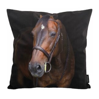 Gek op kussens! Paard/Horse Kissenbezug | 45x45 cm | Baumwolle/Polyester