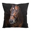 Gek op kussens! Paard/Horse Kissenbezug | 45x45 cm | Baumwolle/Polyester