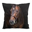 Paard / Horse | 45 x 45 cm | Kussenhoes | Katoen/Polyester