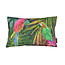 Gek op kussens! Velvet Parrot | 30 x 50 cm | Kussenhoes | Velvet/Polyester