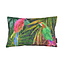 Gek op kussens! Velvet Parrot Long | 30 x 50 cm | Kussenhoes | Velvet/Polyester
