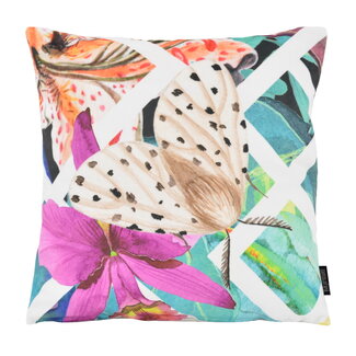 Gek op kussens! Velvet Butterfly #1 | 45 x 45 cm | Kussenhoes | Velvet/Polyester