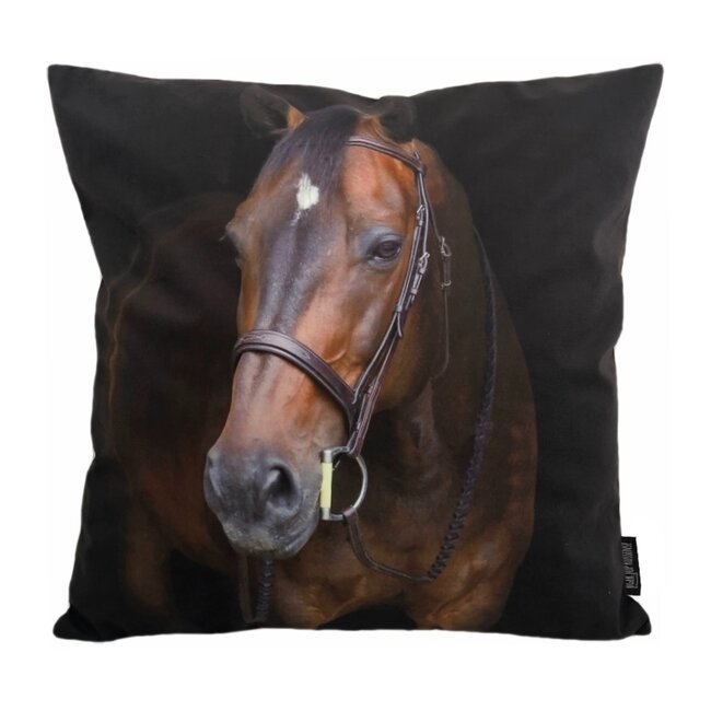 Sierkussen Paard / Horse | 45 x 45 cm | Katoen/Polyester