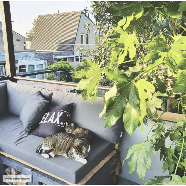 Sierkussen Relax - Outdoor | 45 x 45 cm | Polyester