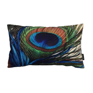 Gek op kussens! Sierkussen Peacock Feather / Pauw Long 1 | 30 x 50 cm | Katoen/Linnen