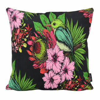 Gek op kussens! Color Bird Kussenhoes | 45x45 cm | Katoen/Polyester