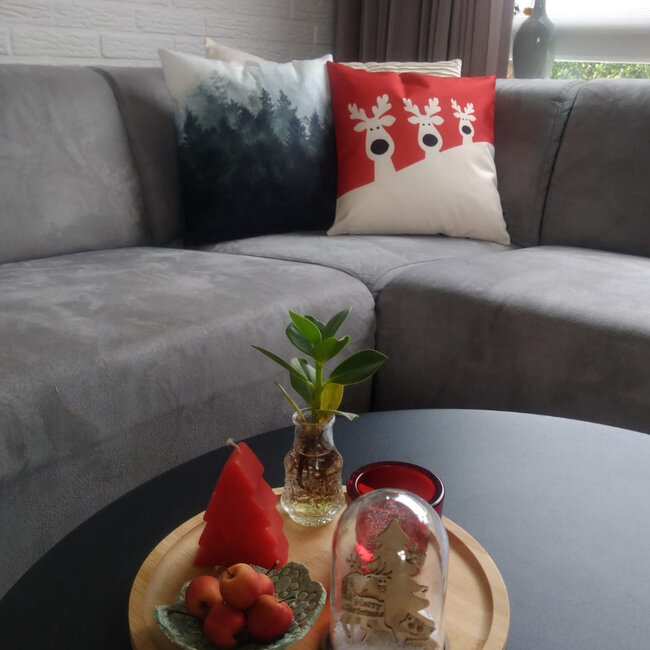 Sierkussen Pinetrees / Dennenbomen | 45 x 45 cm | Katoen/Polyester