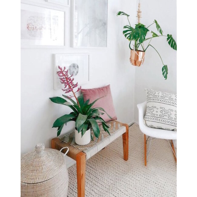 Velvet Lichtroze | 45 x 45 cm | Kussenhoes | Polyester