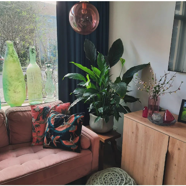 Sierkussen Peacock & Birds | 45 x 45 cm | Katoen/Linnen