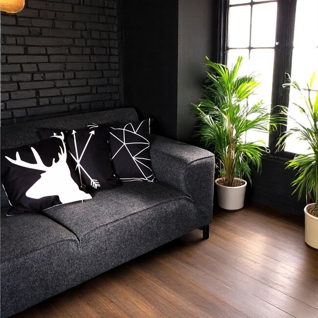 Arrows/Pijlen Kussenhoes | 45x45 cm | Katoen/Linnen