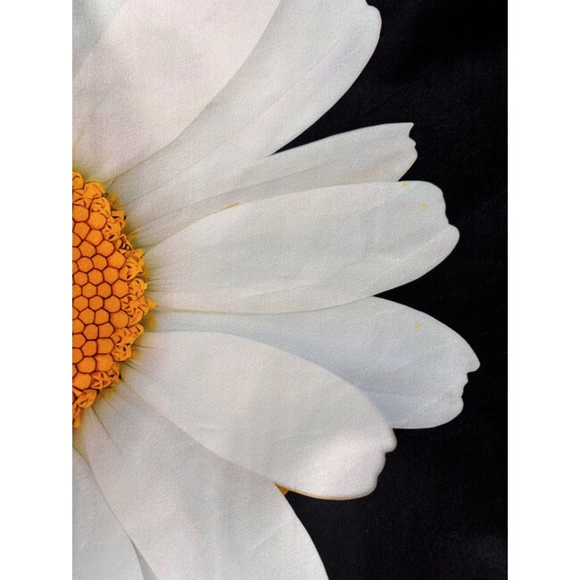 Half A Daisy | 45 x 45 cm | Kussenhoes | Katoen/Polyester