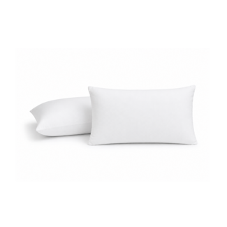 Gek op kussens! Set 2 stuks - Binnenkussen 30x50 cm | 240 gram Polyester Kussenvulling