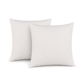 Gek op kussens! Set 2 stuks - Kussenvulling Dons 40x40cm