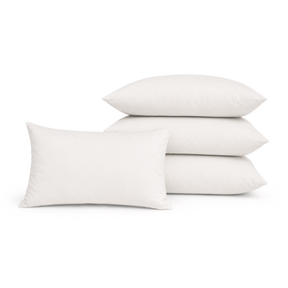 Gek op kussens! Set 4 stuks - Kussenvulling Dons 30x50cm