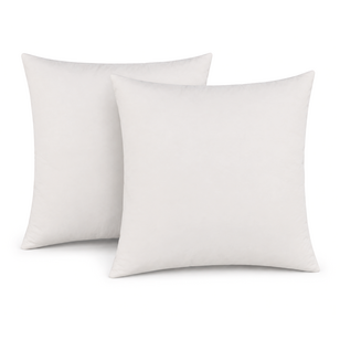 Set 2 stuks - Binnenkussen 50x50 cm | 600 gram Dons Kussenvulling