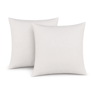 Gek op kussens! Set 2 stuks - Kussenvulling Dons 45x45cm