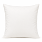 Binnenkussen | 50 x 50 cm | 900 gram | Traagschuim/ Memory Foam