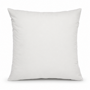 Binnenkussen | 50 x 50 cm | 600 gram | Veren / Dons