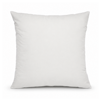 Gek op kussens! Binnenkussen | 45 x 45 cm | 500 gram | Veren / Dons