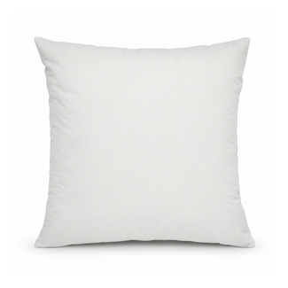 Gek op kussens! Binnenkussen | 40 x 40 cm | 300 gram | Veren / Dons