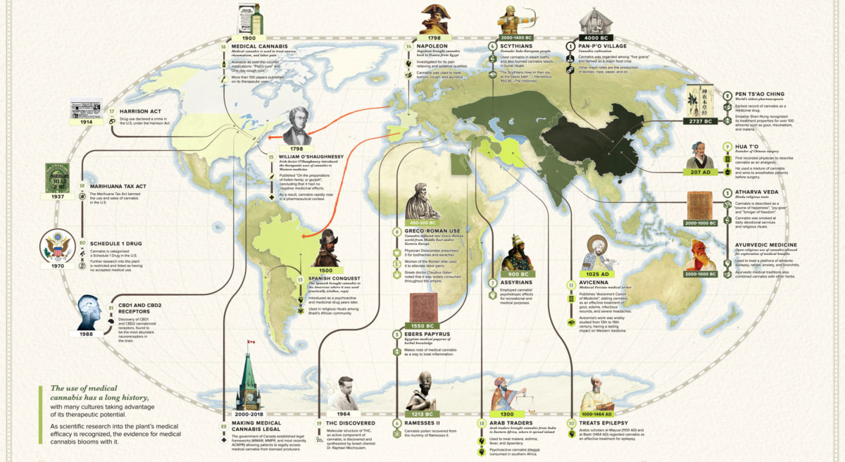THE ORIGINS OF CANNABIS STRAINS 101