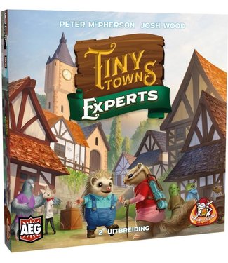 White Goblin Games Tiny Towns: Experts