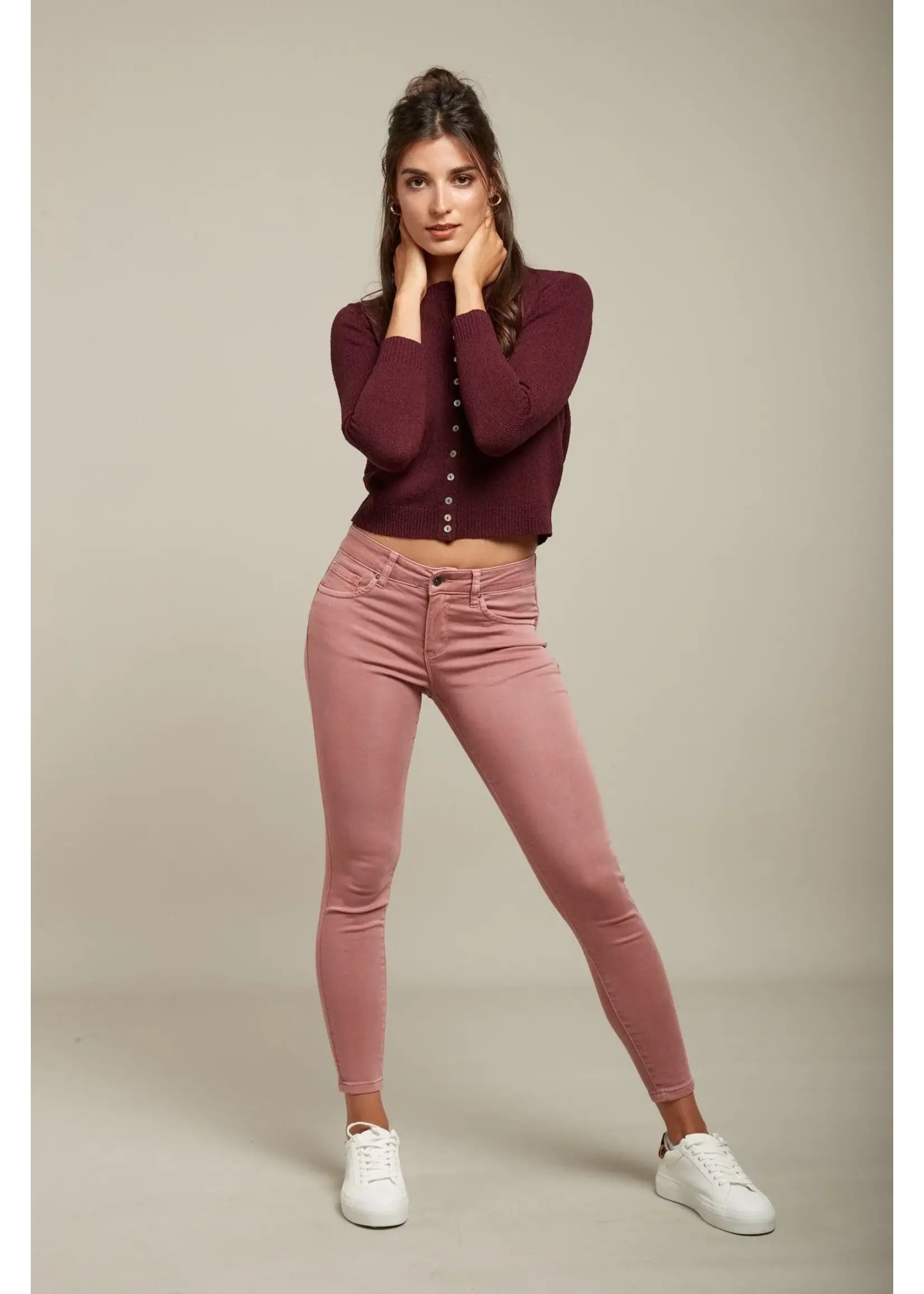 JEAN JOGG COLOR PUSH-UP - LYLY