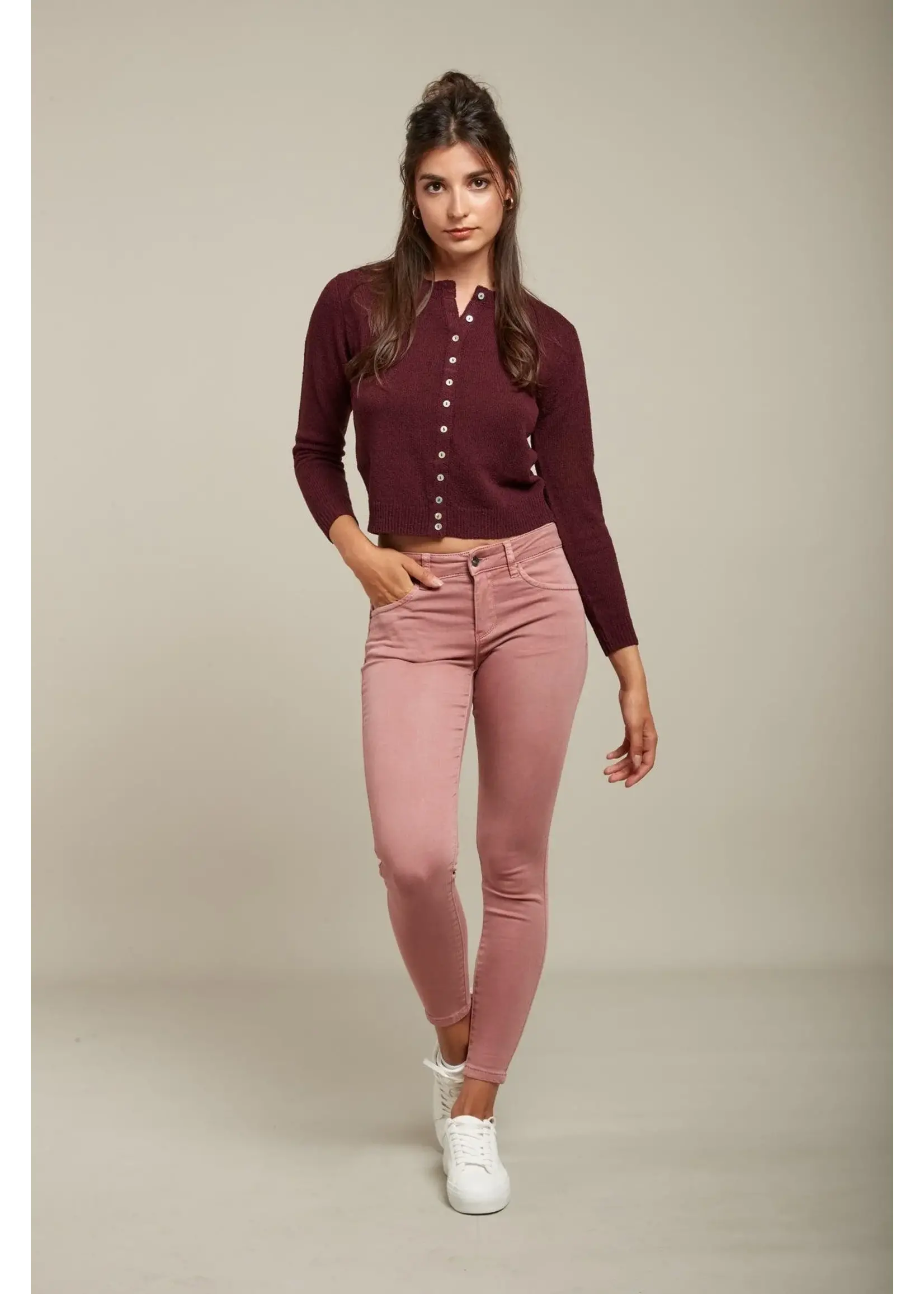 JEAN JOGG COLOR PUSH-UP - LYLY