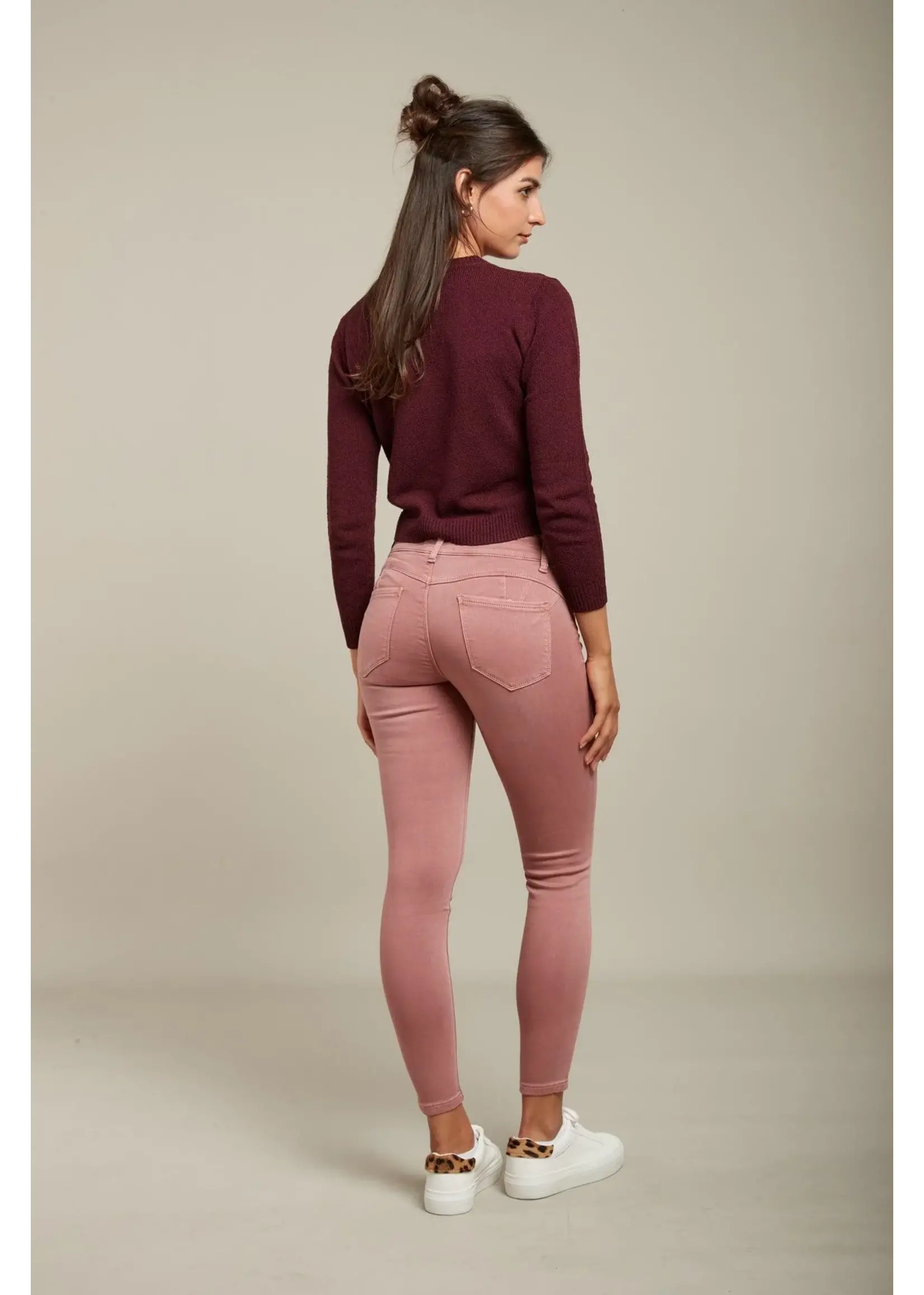 JEAN JOGG COLOR PUSH-UP - LYLY